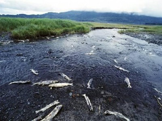 ���ɶ๦���Ƅ�(d��ng)��ˮ������Ľ�����ˮ����