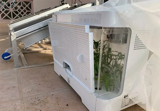 太陽能電池板在發(fā)電的同時灌溉植物?