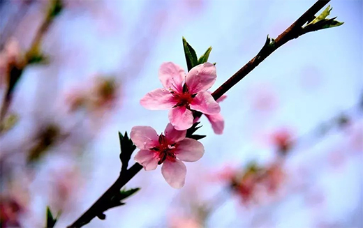 �������T�I(y��)ح����է�����f�����C��Ȼ