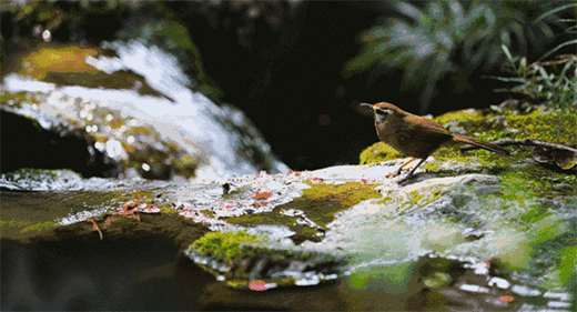 �������T�I(y��)ح����է�����f�����C��Ȼ