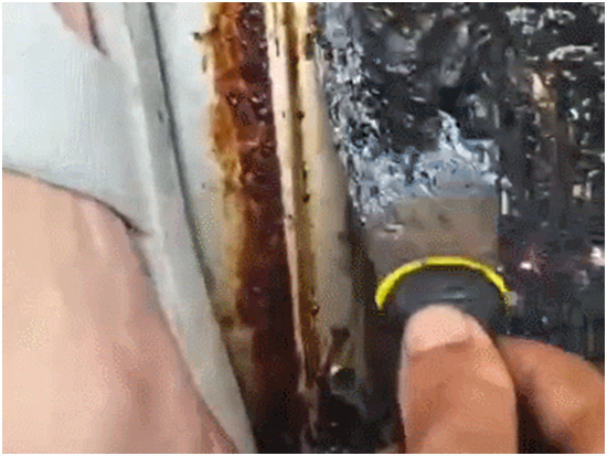 ������͟��Cȫ�����G�Ρ����Є���