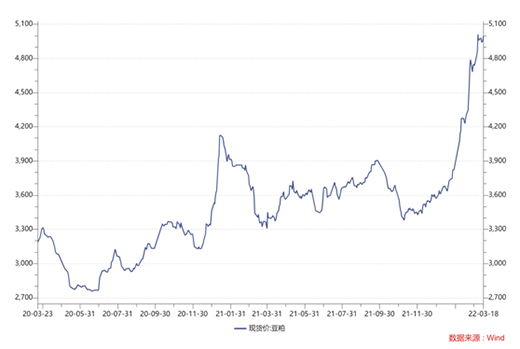 大豆價(jià)格暴漲，逼近10年高位!養(yǎng)豬企業(yè)控成本，二師兄要減餐了