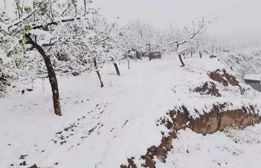 �՚�Դ��Ȫ��������춬���B(y��ng)�����w�(y��n)!