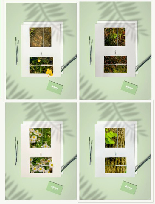 �W·ɯ�l(w��i)������ס���յĽk����ӭ��ʢ�ĵķ��A