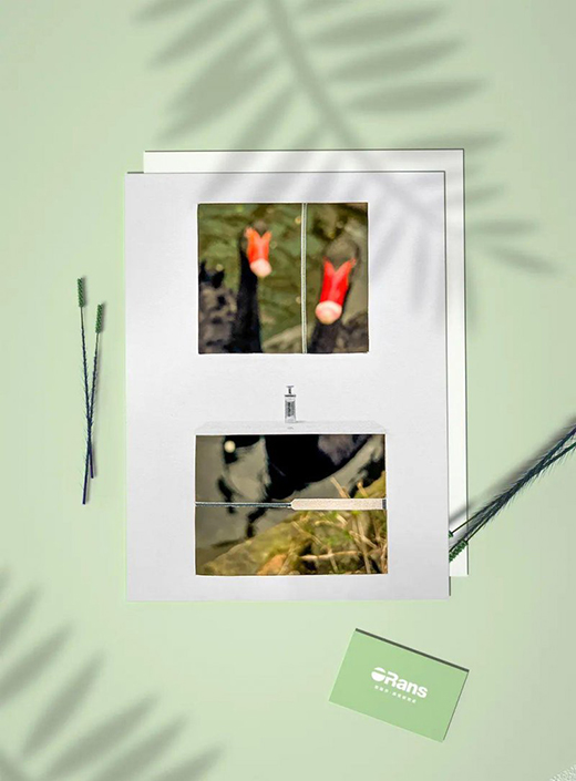 歐路莎衛(wèi)?。毫糇〈喝盏慕k爛，迎接盛夏的繁華