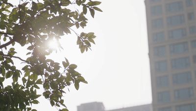 Ξʯ�����i����������������ܡ��������P��!