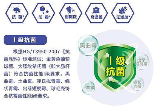 晨陽水漆24周年發(fā)布初馨系列內墻水漆：初見傾心 馨滿意足