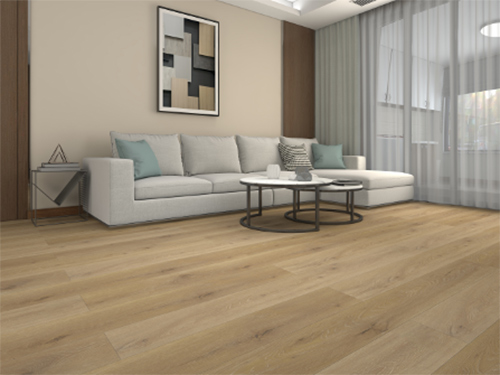 �����С��ҡ�!�鷿䁺����ѵذ����ͽY���