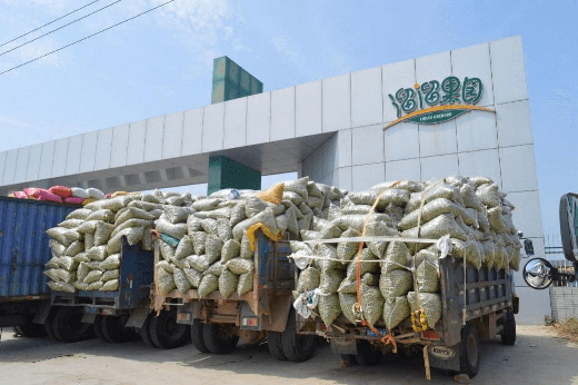 從“市場思維”到“品牌思維”，溜溜梅的成功絕非偶然