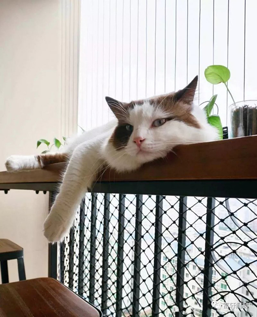 ��܎ȫ���T����_(t��i)�๦���O(sh��)Ӌ(j��)����������N�N����