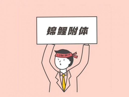 �����l(w��i)ԡ����Щ�����\���w�|(zh��)?���������