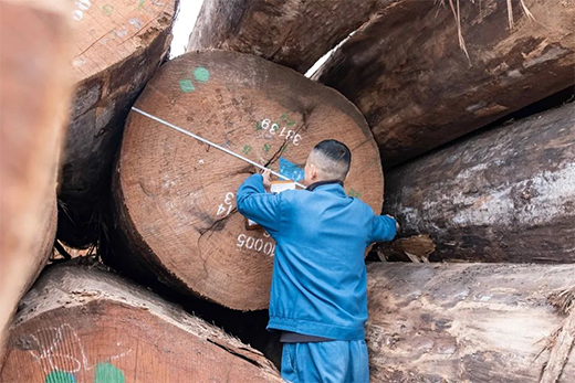 Ī��ɽ�߶˼Ҿ߰� | ��ԭľ֮�����ؘ�(g��u)�����