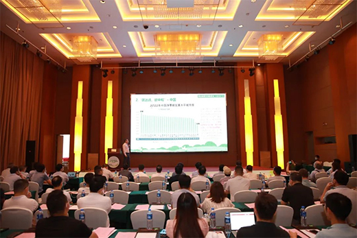 �����ИI(y��)��Ό��F(xi��n)���p̼��Ŀ��?�@����ӑ������ɽС�����_