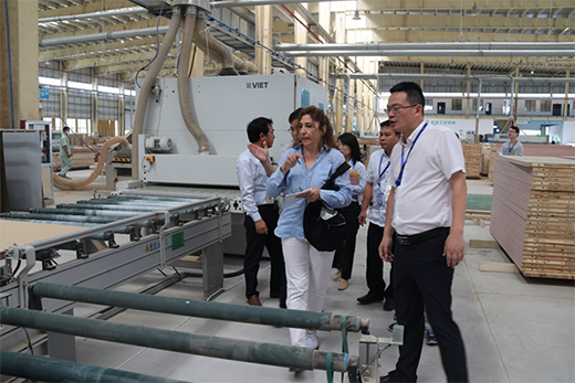 ���ˮ���c����ľ�I(y��)�_�ɑ�(zh��n)�Ժ�����������Gɫ������g!