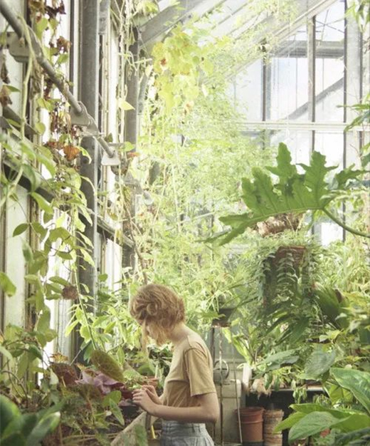 ꖹⷿ�����@�����ȫ���x�(xi��ng)