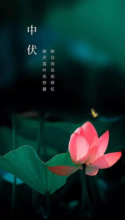 �����ļ��������Žo�㎧�����m����ԡ�w�