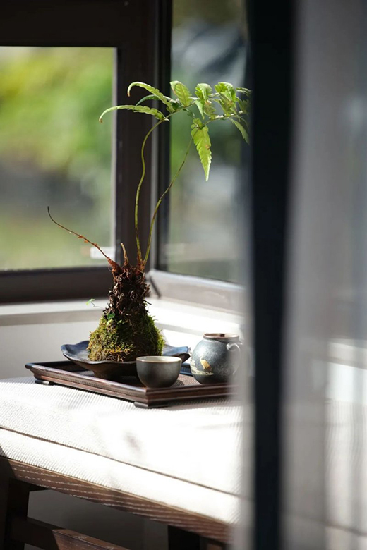 ��܎ȫ���T���F(xi��n)������ʽ���������⾳�B��������