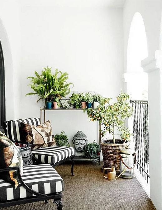 ȫ�ݶ�������Щ�������x������!