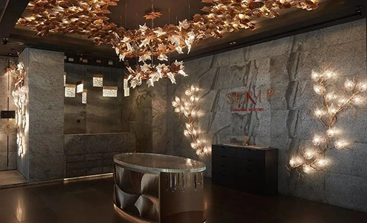 SERIP | �@�G���貟����������õ�ˇ�g����