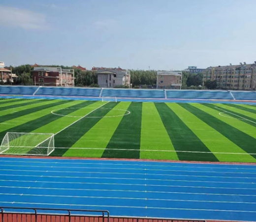 騰威跑道系列——預制型橡膠跑道