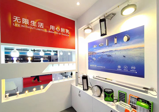 共享光·協(xié)發(fā)展 | 佛山照明亮相第19屆中國—東盟博覽會