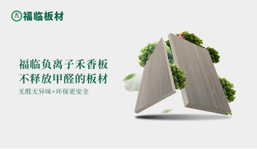 ���RENF��(j��)ؓ(f��)�x�Ӱ壺�o(w��)ȩ�r(sh��)�������ý�����