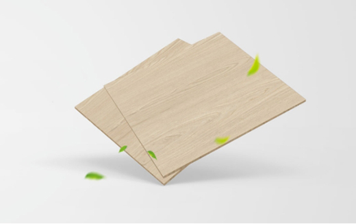 ���RENF��(j��)ؓ(f��)�x�Ӱ壺�o(w��)ȩ�r(sh��)�������ý�����