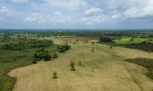 威能ecoTEC exclusive榮獲“綠點中國”年度案例，綠色設(shè)計助力舒適生活