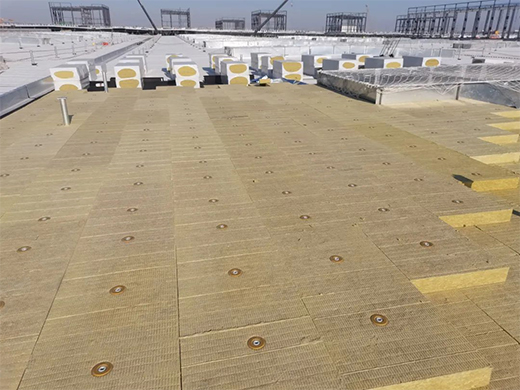 �|�����y�֊W��һ������̽�Gɫδ��