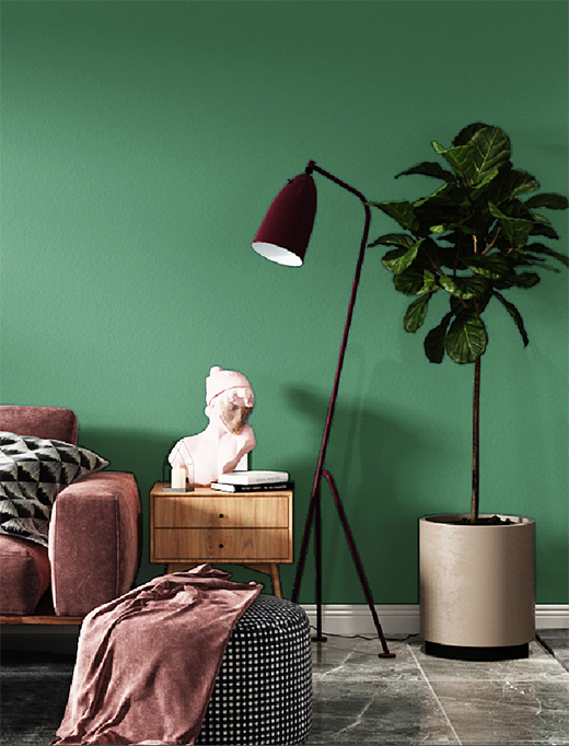 �x������ˇ�g(sh��)Ϳ�ϣ�׌���g���С����ӡ�