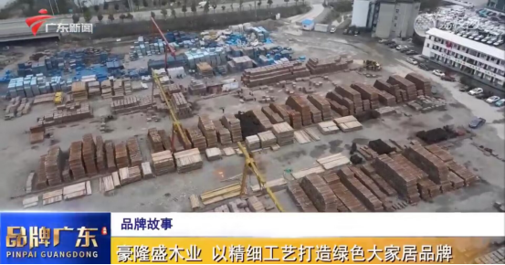 廣東電視臺重磅欄目《品牌廣東》，講述板芝福板材品牌故事