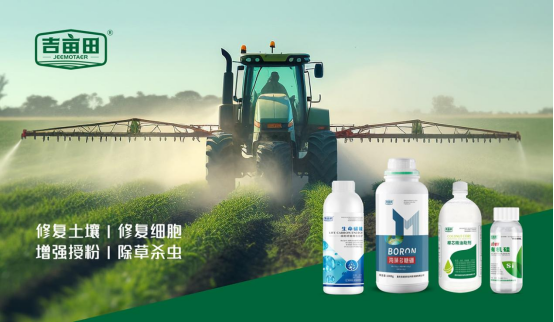 ��܊Ʒ�|(zh��)����(sh��)���o(h��)��ح�������޻����ʔy����ȭ����܊κ����