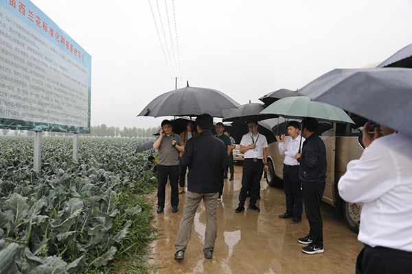 �y����I(y��)��ý�w�����조���Pɽ���^(q��)����Ʒ�������