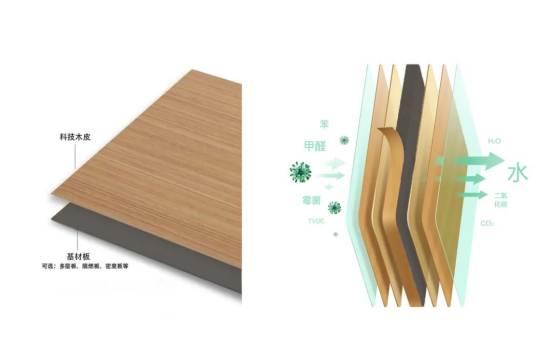 �Wҫ�Ͼ������Z�߶������԰�ĵđ�(y��ng)��֮·