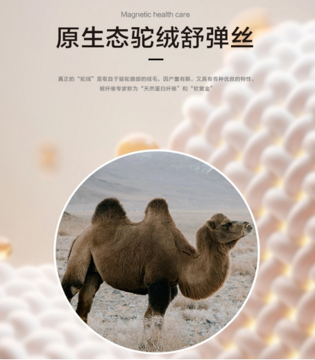 ̽������˯�ߊW�أ������R�Ҿ�ϯ����ԭ���B(t��i)���|��׌��������